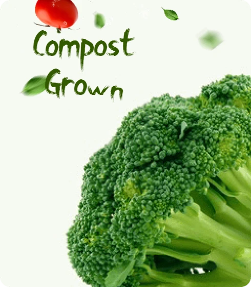 home-compost-grown.webp